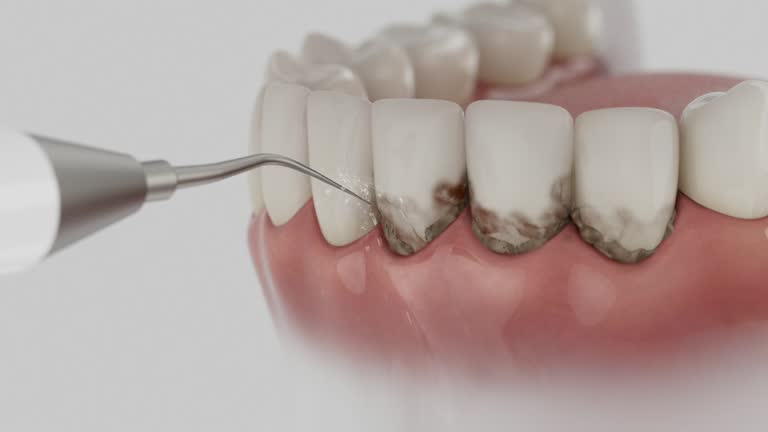 Reliable Dental contractor in Jamestown, KY by Dentist Open Now